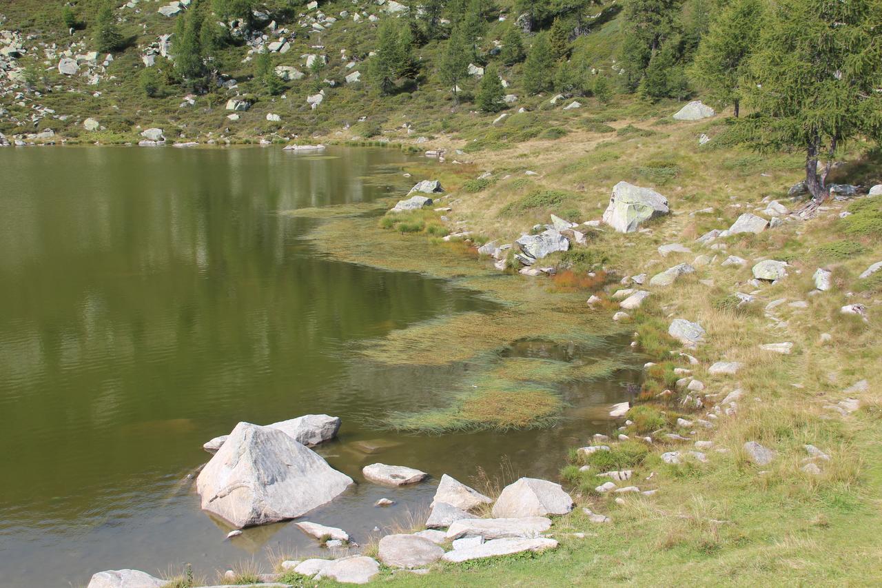 Rifugio Viviani Pradalago Madonna di Campiglio Exterior photo