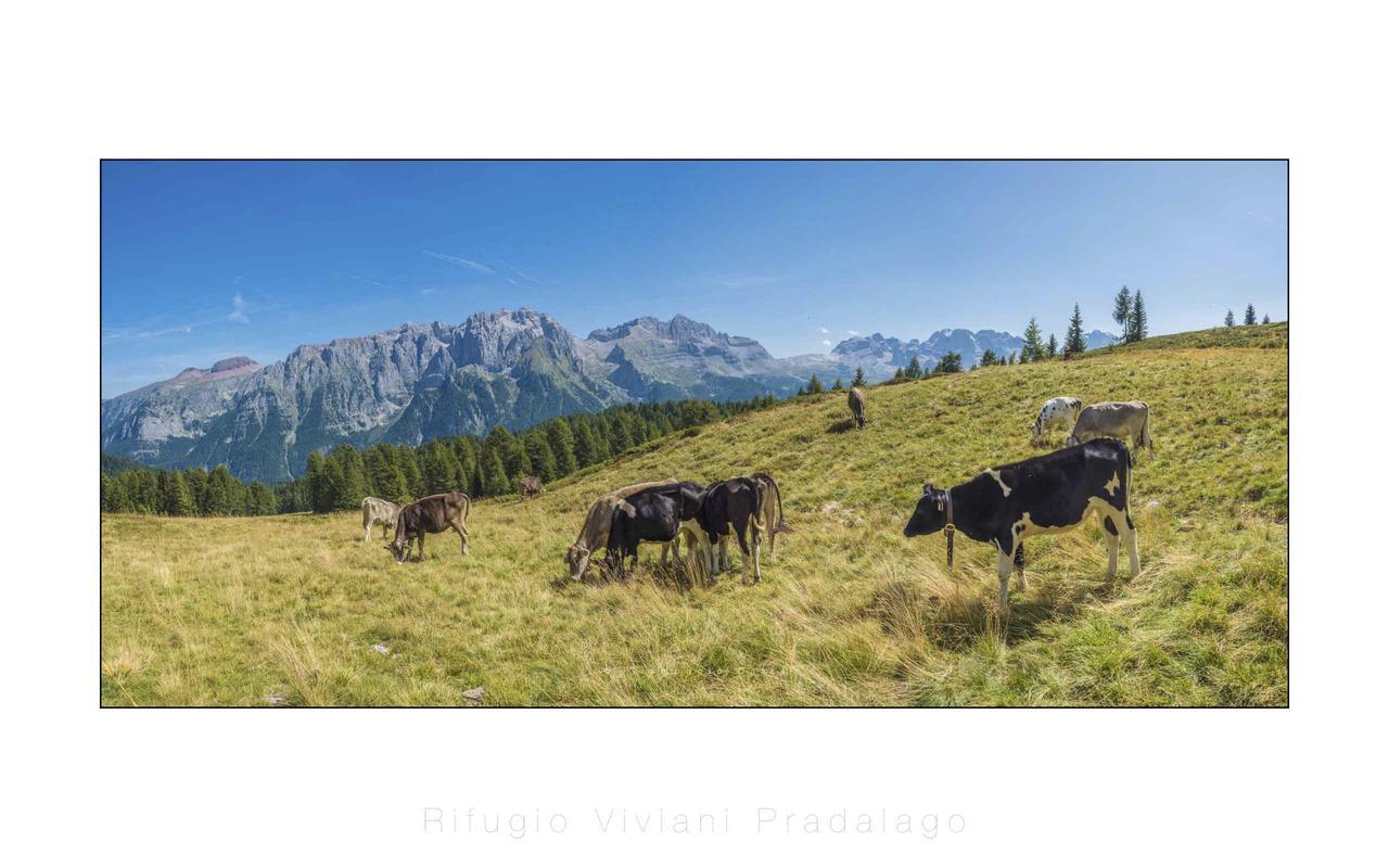 Rifugio Viviani Pradalago Madonna di Campiglio Exterior photo